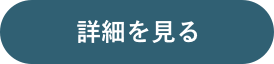 詳細を見る
